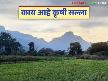 krushi Salla : अवकाळी पावसाचा अंदाज घेऊन पिकांचे करा नियोजन; कृषी सल्ला वाचा सविस्तर - Marathi News | Krushi Salla: latest news Plan your crops by predicting unseasonal rains; Read detailed agricultural advice | Latest News at Lokmat.com krushi Salla : अवकाळी पावसाचा अंदाज घेऊन पिकांचे करा नियोजन; कृषी सल्ला वाचा सविस्तर - Marathi News | Krushi Salla: latest news Plan your crops by predicting unseasonal rains; Read detailed agricultural advice | Latest News at Lokmat.com