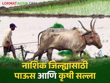 Nashik Rain Update : नाशिक जिल्ह्यासाठी पुढील पाच दिवस कुठला अलर्ट, जाणून घ्या सविस्तर - Marathi News | Latest News Rain forecast orange and yellow alert for next five days for Nashik district, know in detail | Latest News at Lokmat.com Nashik Rain Update : नाशिक जिल्ह्यासाठी पुढील पाच दिवस कुठला अलर्ट, जाणून घ्या सविस्तर - Marathi News | Latest News Rain forecast orange and yellow alert for next five days for Nashik district, know in detail | Latest News at Lokmat.com