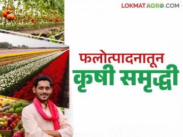 कृषी समृद्धी योजनेत फलोत्पादन अंतर्गत 'या' घटकांना अनुदान; कशाला मिळंतय किती अनुदान? - Marathi News | Subsidies to 'these' components under horticulture in the Agricultural Prosperity Scheme; How much subsidy is being received for what? | Latest News at Lokmat.com कृषी समृद्धी योजनेत फलोत्पादन अंतर्गत 'या' घटकांना अनुदान; कशाला मिळंतय किती अनुदान? - Marathi News | Subsidies to 'these' components under horticulture in the Agricultural Prosperity Scheme; How much subsidy is being received for what? | Latest News at Lokmat.com
