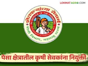 Krushi Sevak Bharti : पेसा क्षेत्रातील ३६५ कृषीसेवकांच्या पदभरतीचा मार्ग मोकळा लवकरच नियुक्त्या - Marathi News | Krushi Sevak Bharti : Recruitment of 365 krushi sevak in the PESA sector will be appoint soon | Latest News at Lokmat.com
