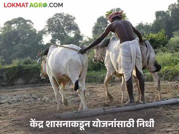 Agriculture News : कृषी उन्नती, कृषी विकास योजनेसाठी २३१४ कोटींच्या निधीस मान्यता, वाचा सविस्तर  - Marathi News | Latest News Approval of funds of Rs 2314 crore for agricultural development and agricultural development scheme, read in detail | Latest News at Lokmat.com
