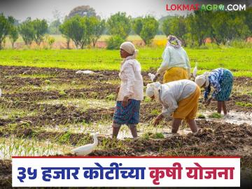Agriculture News : कृषी क्षेत्रातील दोन योजनांना प्रारंभ, 35 हजार कोटींची तरतूद, वाचा सविस्तर - Marathi News | latest News Two schemes in agricultural sector launched, provision of Rs 35 thousand crores, read in detail | Latest News at Lokmat.com Agriculture News : कृषी क्षेत्रातील दोन योजनांना प्रारंभ, 35 हजार कोटींची तरतूद, वाचा सविस्तर - Marathi News | latest News Two schemes in agricultural sector launched, provision of Rs 35 thousand crores, read in detail | Latest News at Lokmat.com