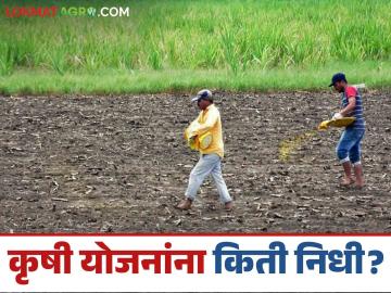 Agriculture Scheme Budget : पीक विम्याचे बजेट झालं कमी, पीएम किसान हफ्ता जैसे थे, कृषी योजनांसाठी किती पैसे मिळाले? - Marathi News | Latest news Agriculture News Pm Kisan Pik Vima Yojana how much money was received for agricultural schemes | Latest News at Lokmat.com