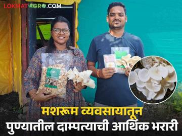 Mushroom Success Story : फिल्म इंडस्ट्रीतील जॉब सोडून सुरू केला मशरूम व्यवसाय; पुण्यातील दाम्पत्याची लाखोंची उलाढाल - Marathi News | Mushroom Success Story: Leaving a job in the film industry, started a mushroom business; The turnover of lakhs of couple in Pune | Latest agriculture News at Lokmat.com