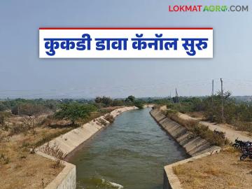 Kukadi Left Canal : कुकडी डाव्या कालव्यातून ५०० क्युसेकने उन्हाळी पिकांसाठीचे आवर्तन सुरु - Marathi News | Kukadi Left Canal : Circulation of 500 cusecs for summer crops begins from Kukadi Left Canal | Latest News at Lokmat.com