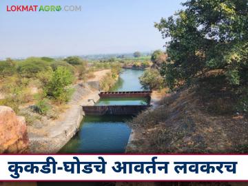 पश्चिम वाहिनी नद्यातून ५२ टीएमसी पाणी; कुकडी-घोडमधून दुसरे आवर्तन कधी सोडणार? - Marathi News | 52 TMC water from the West Channel river; When will the second circuit be released from Kukdi-Ghod? | Latest News at Lokmat.com
