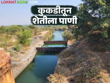 Kukadi Water Project : कुकडी प्रकल्पातून शेतीसाठी आवर्तन सोडले; किती दिवस चालणार पाणी? - Marathi News | Kukadi Water Project : Water release for agriculture from the Kukadi project; How long will the water release? | Latest News at Lokmat.com