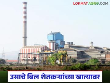 कोल्हापूर जिल्ह्यातील 'ह्या' कारखान्याचे ३ हजार ५६० रुपयाप्रमाणे ऊस बिल शेतकऱ्यांच्या खात्यावर जमा - Marathi News | Sugarcane bill of Rs 3,560 from 'this' factory in Kolhapur district deposited in farmers accounts | Latest News at Lokmat.com