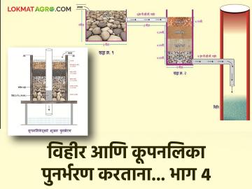 Agriculture News : विहीर आणि कूपनलिका पुनर्भरण करताना काय काळजी घ्यावी? वाचा सविस्तर  - Marathi News | Latest News Agriculture News What should be taken care of while refilling wells and boreholes | Latest News at Lokmat.com