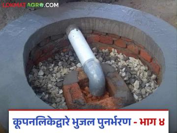 Agriculture News : पावसाचे पाणी कूपनलिकेत सोडा, भूजलपातळी वाढवा, वाचा सविस्तर  - Marathi News | Latest News Agriculture News Release rainwater into the canal, increase groundwater level, read in detail | Latest News at Lokmat.com