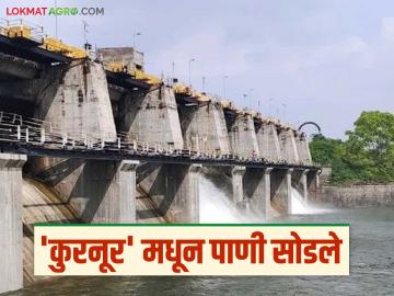 Kurnur Dam : कुरनूर धरणाचे तीन दरवाजे उघडले; २५० क्युसेकने पाण्याचा विसर्ग सुरु - Marathi News | Kurnur Dam : Three gates of Kurnur Dam opened; 250 cusecs of water released | Latest News at Lokmat.com Kurnur Dam : कुरनूर धरणाचे तीन दरवाजे उघडले; २५० क्युसेकने पाण्याचा विसर्ग सुरु - Marathi News | Kurnur Dam : Three gates of Kurnur Dam opened; 250 cusecs of water released | Latest News at Lokmat.com