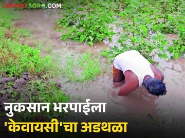 Marathwada Flood : नुकसानभरपाईला 'केवायसी'चा अडथळा; मदतनिधी मिळायला उशीर वाचा सविस्तर - Marathi News | latest news Marathwada Flood: KYC hinders compensation; Delay in getting relief funds Read in detail | Latest News at Lokmat.com Marathwada Flood : नुकसानभरपाईला 'केवायसी'चा अडथळा; मदतनिधी मिळायला उशीर वाचा सविस्तर - Marathi News | latest news Marathwada Flood: KYC hinders compensation; Delay in getting relief funds Read in detail | Latest News at Lokmat.com