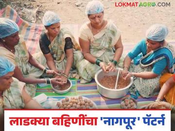 लाडकी बहीण योजना ग्रामीण महिलांसाठी गेमचेंजर; लाडक्या बहिणींनी सुरू केली क्रेडिट सोसायटी - Marathi News | ladki bahin yojana a game changer for rural women; ladki bahin started a credit society | Latest News at Lokmat.com