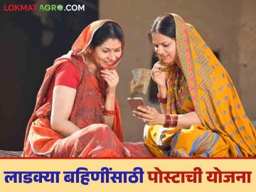 लाडकी बहीण अंतर्गत मिळणारी रक्कम पोस्टाच्या या योजनेत गुंतवली तर व्हाल लखपती; वाचा सविस्तर - Marathi News | If you invest the amount received under Ladki Bhain in this scheme of the Post Office, you will become a millionaire; Read in detail | Latest News at Lokmat.com