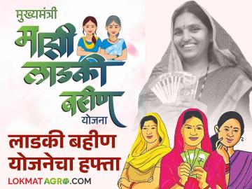 Ladki Bahin Yojana : प्रतीक्षा संपली, लाडकी बहिणींना निधी वितरित करण्याची प्रक्रिया सुरु, वाचा सविस्तर  - Marathi News | Latest News Ladki Bahin Yojana process of distributing funds to Ladki Bahin Yojana has begun, read in detail | Latest News at Lokmat.com
