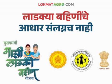 Ladki Bahin Yojana : राज्यातील कोटींच्यावर लाडक्या बहिणींचे अर्ज मंजूर; लाखो बहिणींचे आधार संलग्नला लागतोय वेळ   - Marathi News | Ladki Bahin Yojana : Applications of Ladki Bahin Yojana approved in the state | Latest News at Lokmat.com