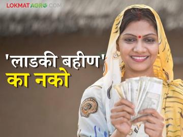 ladki bahin yojana : लाडकी बहीण नको गं बाई, अर्ज मागे घेण्यास सुरुवात वाचा सविस्तर - Marathi News | ladki bahin yojana: latest news of ladki bahin yojana application withdrawal begins, read in detail | Latest News at Lokmat.com