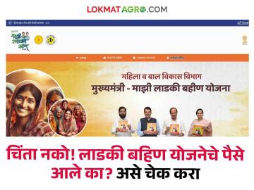 Majhi ladki bahin yojana : शेतकरी भगिनींनो, लाडकी बहिण योजनेचे पैसे खात्यावर आले नाही, तर काय करायचे? जाणून घ्या - Marathi News | Majhi ladki bahin yojana : Farmer sisters, what to do if the money of Ladki Bahin Yojana does not come to the account? find out | Latest News at Lokmat.com