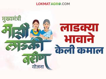 Ladki Bahin Yojana : लाडक्या भावाने केले योजनेचे पैसे परत काय आहे प्रकरण वाचा सविस्तर - Marathi News | Ladki Bahin Yojana : why brother return of the Ladki Bahin scheme money, read the case in detail | Latest News at Lokmat.com Ladki Bahin Yojana : लाडक्या भावाने केले योजनेचे पैसे परत काय आहे प्रकरण वाचा सविस्तर - Marathi News | Ladki Bahin Yojana : why brother return of the Ladki Bahin scheme money, read the case in detail | Latest News at Lokmat.com