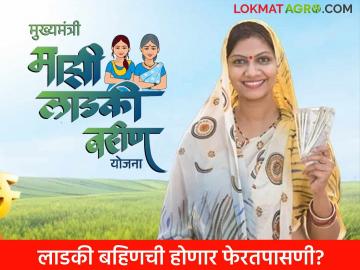 ladki bahin fasavnuk Action: सावधान ! सरकार लाडकी बहीण योजनेची करणार फेरतपासणी ; काय होतील परिणाम वाचा सविस्तर - Marathi News | ladki bahin fasavnuk Action: Beware ! Government will re-examine the ladki bahin scheme; What will be the results read in detail | Latest News at Lokmat.com ladki bahin fasavnuk Action: सावधान ! सरकार लाडकी बहीण योजनेची करणार फेरतपासणी ; काय होतील परिणाम वाचा सविस्तर - Marathi News | ladki bahin fasavnuk Action: Beware ! Government will re-examine the ladki bahin scheme; What will be the results read in detail | Latest News at Lokmat.com