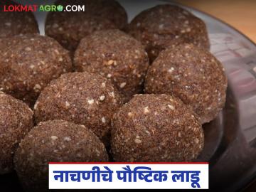 Ragi Laddu : लहान मुलांसाठी सुपरफूड नाचणीचा पौष्टीक लाडू, अशी आहे सोपी रेसिपी, वाचा सविस्तर  - Marathi News | latest news Superfood gram flour nutritious laddu for kids, this is the easy recipe, read in detail | Latest News at Lokmat.com