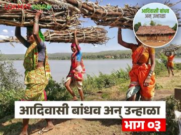 Agriculture News : 'उज्वलां'ची चूल विझली नाही, सरपण गोळा करण्याचं काम आजही केलं जातं! - Marathi News | Latest News Agriculture News Tribal brothers do the work of collecting firewood in summer | Latest News at Lokmat.com