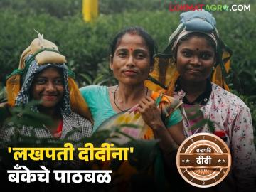 Lakhpati Didi Scheme : 'लखपती दीदींना' बँकांचे पाठबळ; अमरावतीत महिला स्वावलंबनाला गती - Marathi News | latest news Lakhpati Didi Scheme: Banks support 'Lakhpati Didi'; Acceleration for women's self-reliance in Amravati | Latest News at Lokmat.com