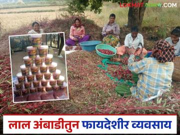 Lal Ambadi Bhukati : लाल अंबाडीपासून भुकटीचा व्यवसाय, महिन्याला लाखो रुपयांची कमाई, वाचा सविस्तर  - Marathi News | Latest News Lal Ambadi Bhukati Red flax to powder business, earning lakhs of rupees per month, read in detail | Latest News at Lokmat.com