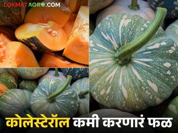 कोलेस्ट्रॉल कमी करून रक्तदाब नियंत्रित करण्यासाठी 'हे' फळ खाणे ठरतंय फायदेशीर; वाचा सविस्तर - Marathi News | Eating 'this' fruit is beneficial for reducing cholesterol and controlling blood pressure; Read in detail | Latest News at Lokmat.com