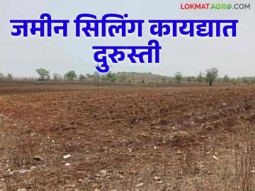 Land Ceiling : सिलिंग कायद्यात दुरुस्तीचे आदेश सात हजार एकर जमीन मालकांना परत मिळणार - Marathi News | Land Ceiling : 7 thousand acre land owners will get back the amendment order in the ceiling act | Latest News at Lokmat.com