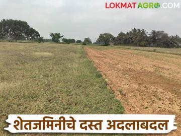 शेतजमिनीचे वर्षानुवर्षे चाललेले वाद आता मिटणार, दस्त अदलाबदलीसाठी आला हा पर्याय; वाचा सविस्तर - Marathi News | The long standing dispute over agricultural land will now be resolved, a new option has come for exchanging land record documents; read in detail | Latest News at Lokmat.com