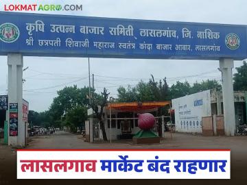 लासलगाव कांदा मार्केट सहा दिवस राहणार बंद, काय आहे कारण, पहा संपूर्ण वेळापत्रक  - Marathi News | Latest news Lasalgaon onion market will remain closed for six days see the schedule | Latest News at Lokmat.com