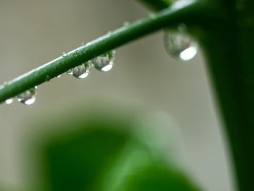 पाऊसाच्या आगमनानुसार करा पेरणी; मग प्रसन्न होईल धरणी - Marathi News | how to manage kharif farming in delayed monsoon | Latest News at Lokmat.com