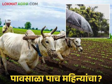 Rabi Perani : पाऊस थांबता थांबेना; रब्बीची मशागत करता येईना ! - Marathi News | Rabi Perani : The rain does not stop; The rabbi can not be cultivated! | Latest News at Lokmat.com