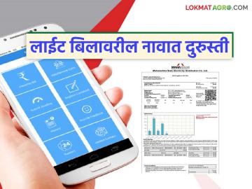 लाईट बिलावरील नावातील बदल दुरुस्ती होणार आता ७ दिवसांच्या आत; अर्जांना स्वयंचलित मंजुरी लाईट बिलावरील नावातील बदल दुरुस्ती होणार आता ७ दिवसांच्या आत; अर्जांना स्वयंचलित मंजुरी