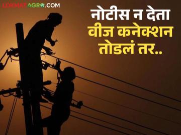 नोटीस अथवा पूर्वसूचना न देता लाईट कनेक्शन तोडता येते का? काय आहे नियम? वाचा सविस्तर - Marathi News | Can the electricity connection be disconnected without giving any notice or prior notice? What are the rules? Read in detail | Latest News at Lokmat.com नोटीस अथवा पूर्वसूचना न देता लाईट कनेक्शन तोडता येते का? काय आहे नियम? वाचा सविस्तर - Marathi News | Can the electricity connection be disconnected without giving any notice or prior notice? What are the rules? Read in detail | Latest News at Lokmat.com
