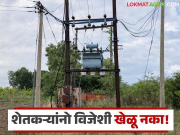 शेतकऱ्यांनो! स्वतः वीज खांबावरील फ्युज बदलू नका, या कारणामुळे विजेचा धक्का लागू शकतो! - Marathi News | Latest News Do not change the fuse on the electricity pole can cause electric shock | Latest News at Lokmat.com