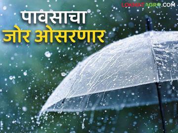 Maharashtra Rain Update : कुठे ओसरणार तर कुठे बरसणार? राज्यातील पुढील चार दिवसाच्या पावसाचा अंदाज - Marathi News | Latest News Maharashtra Rain Update Rain forecast for next four days in maharashtra See details | Latest News at Lokmat.com