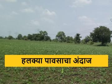 Weather Report : नाशिक जिल्ह्यात पुढील पाच दिवस हलक्या पावसाचा अंदाज, वाचा सविस्तर  - Marathi News | Latest news Light rain forecast for next five days in Nashik district, read in detail | Latest News at Lokmat.com