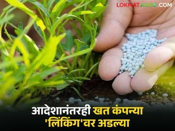 Seed-Fertilizer Linking : कृषी मंत्र्यांचे आदेश फोल? खत कंपन्यांनी उचलला नवा डाव वाचा सविस्तर - Marathi News | latest news Seed-Fertilizer Linking: Agriculture Minister's orders violated? Fertilizer companies have taken a new step Read in detail | Latest News at Lokmat.com Seed-Fertilizer Linking : कृषी मंत्र्यांचे आदेश फोल? खत कंपन्यांनी उचलला नवा डाव वाचा सविस्तर - Marathi News | latest news Seed-Fertilizer Linking: Agriculture Minister's orders violated? Fertilizer companies have taken a new step Read in detail | Latest News at Lokmat.com