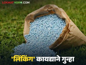 Fertilizer Linking : 'लिंकिंग' विरोधात माफदा ठाम; खत कंपन्यांना दिला इशारा वाचा सविस्तर - Marathi News | latest news Fertilizer Linking: Afda firm against 'linking'; warns fertilizer companies Read in detail | Latest News at Lokmat.com