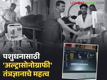 पशुधन तपासणीसाठी वापरले जाणारे 'हे' मशीन प्रक्षेत्रावर नेण्यास परवानगी दिल्यास पशुवैद्यकीय क्षेत्रात होईल क्रांती - Marathi News | This machine used for livestock different tests will revolutionize the veterinary field if it is allowed to be taken to the field | Latest News at Lokmat.com