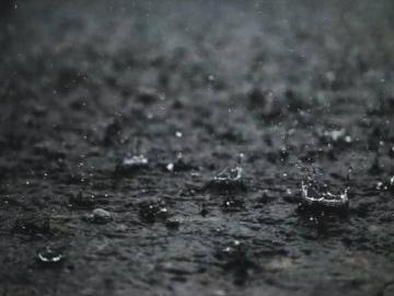 मराठवाड्यात मुसळधारा, शेतकरी सुखावला, कुठे काय परिस्थिती? - Marathi News | Rain in Marathwada, farmers happy, situation of rain in Marathwada | Latest News at Lokmat.com
