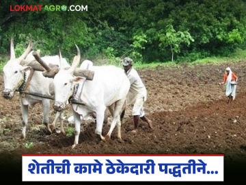 उन्हाळ कांदा लागवड अन् लाल कांदा काढणीला मजूर दर कसे आहेत, वाचा सविस्तर  - Marathi News | Read in detail about the labor rates for summer onion cultivation and red onion harvesting. | Latest News at Lokmat.com