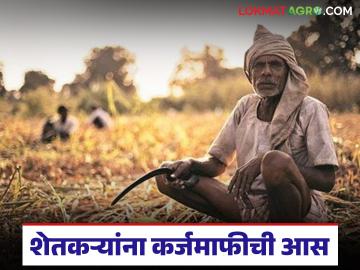 कर्जमाफीचा लाभ जिल्हा बँकेच्याच कर्जदार शेतकऱ्यांना मिळणार काय? वाचा सविस्तर  - Marathi News | latest News karjmafi 2026 Which farmers will get the benefit of loan waiver Read in detail | Latest News at Lokmat.com
