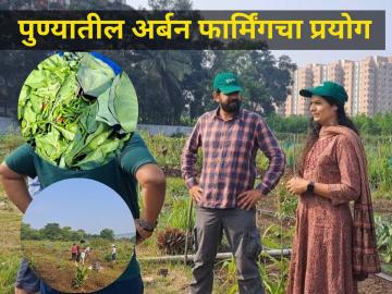 मृदगंध : पुण्यातील गगनचुंबी इमारतीच्या जंगलातील अर्बन फार्मिंगचा यशस्वी प्रयोग - Marathi News | successful experiment of urban farming in pune city vadgain mrudgandh abheejit tamhane and pallavi pethkar | Latest agriculture News at Lokmat.com
