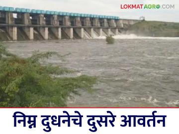 Lower Dudhana Project : दुधनेच्या पाण्याचा हरभरा, गहू, ज्वारी पिकांना बुस्टर! - Marathi News | Lower Dudhana Project: Dudhana water is a booster for gram, wheat, and jowar crops! | Latest News at Lokmat.com