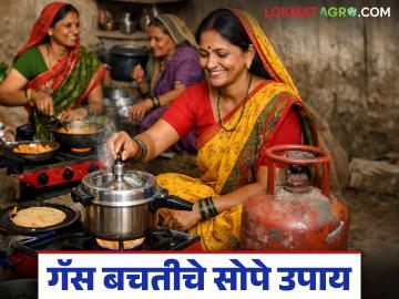 तुमच्या घरगुती गॅस वापरात बचत करायचीय? मग स्वयंपाक करताना करा 'हे' सोपे उपाय - Marathi News | Want to save on your domestic gas usage? Then follow these simple tips while cooking | Latest News at Lokmat.com