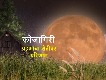 किकुलॉजी : आज खंडग्रास चंद्रग्रहण, जाणून घेऊ ग्रहणांचा पीकपाण्यावर परिणाम - Marathi News | Kikulogy: Kojagiri Purnima, let's know the effect of eclipses on crops by Prof Kirankumar Johare | Latest News at Lokmat.com