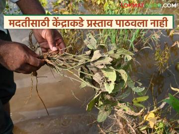 अतिवृष्टीग्रस्तांना आर्थिक मदतीसाठीचा प्रस्ताव केंद्राकडे अजून आलेलाच नाही; केंद्रीय कृषीमंत्र्यांनीच दिली माहिती - Marathi News | Latest News State government has not sent a proposal to the Centre for financial assistance to those affected by heavy rains | Latest News at Lokmat.com